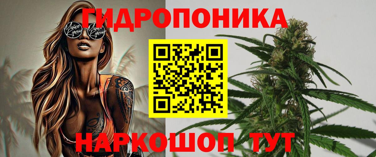 МАРИХУАНА планчик Шебекино